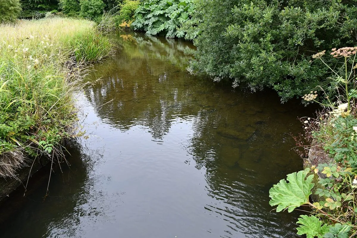 Howick Hall Gardens