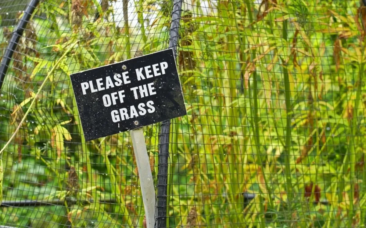 Het zwarte ijzeren hek van de Poison Garden, van buitenaf gezien.