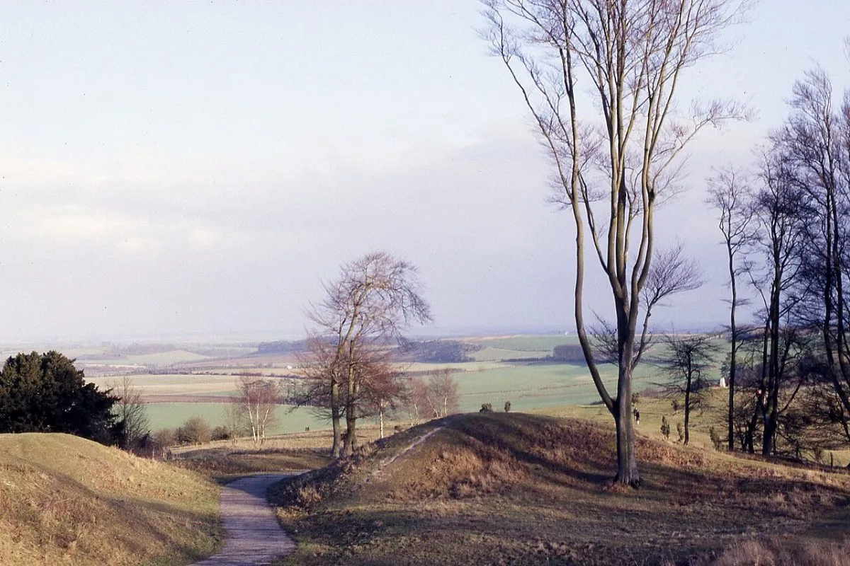 Danebury Hillfort
