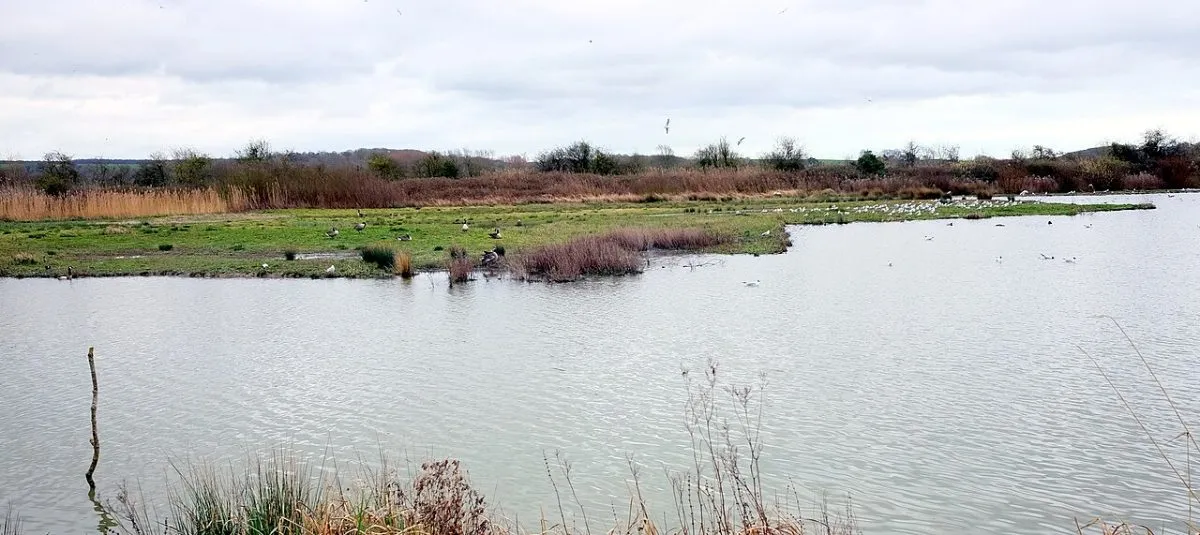WWT Arundel Wetland Centre