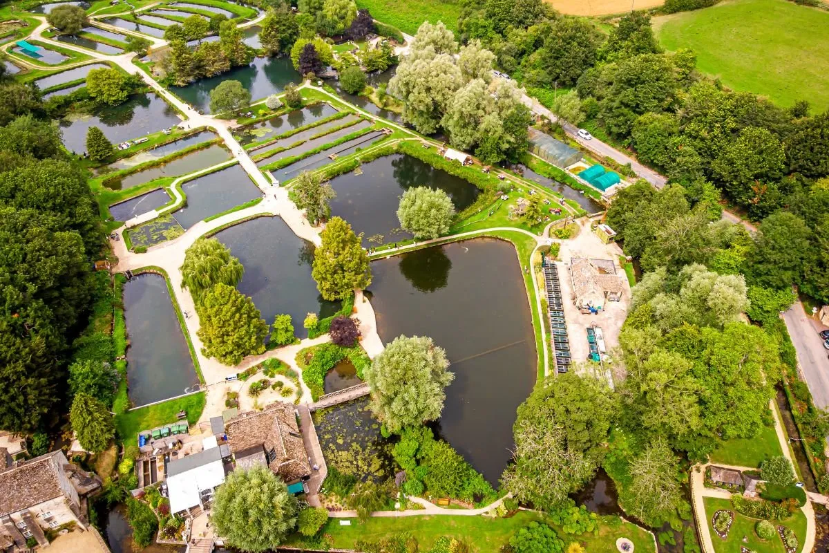 Bibury Trout Farm