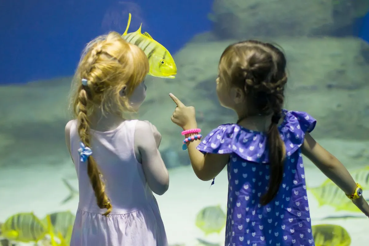 Oceanarium
