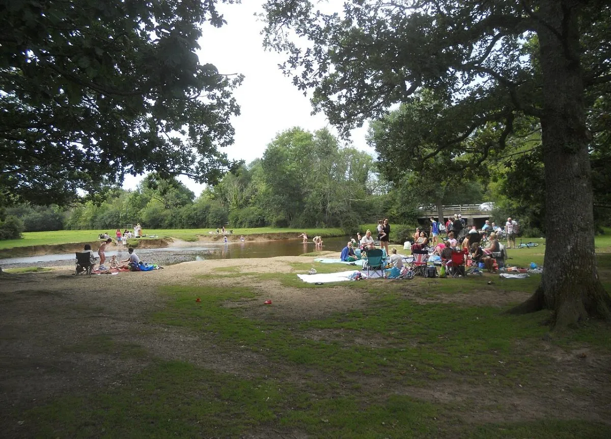 Balmer Lawn