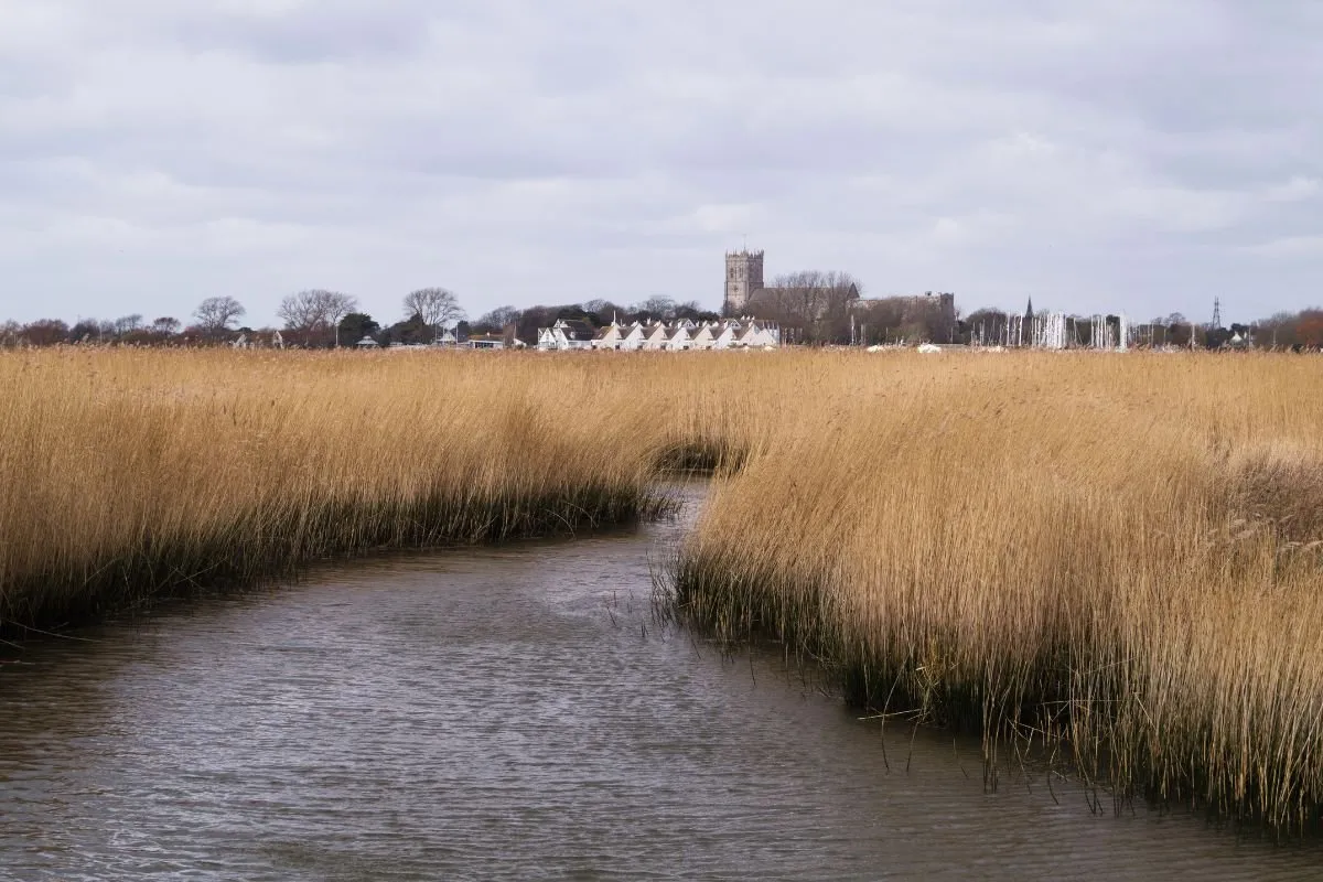 Stanpit Marsh