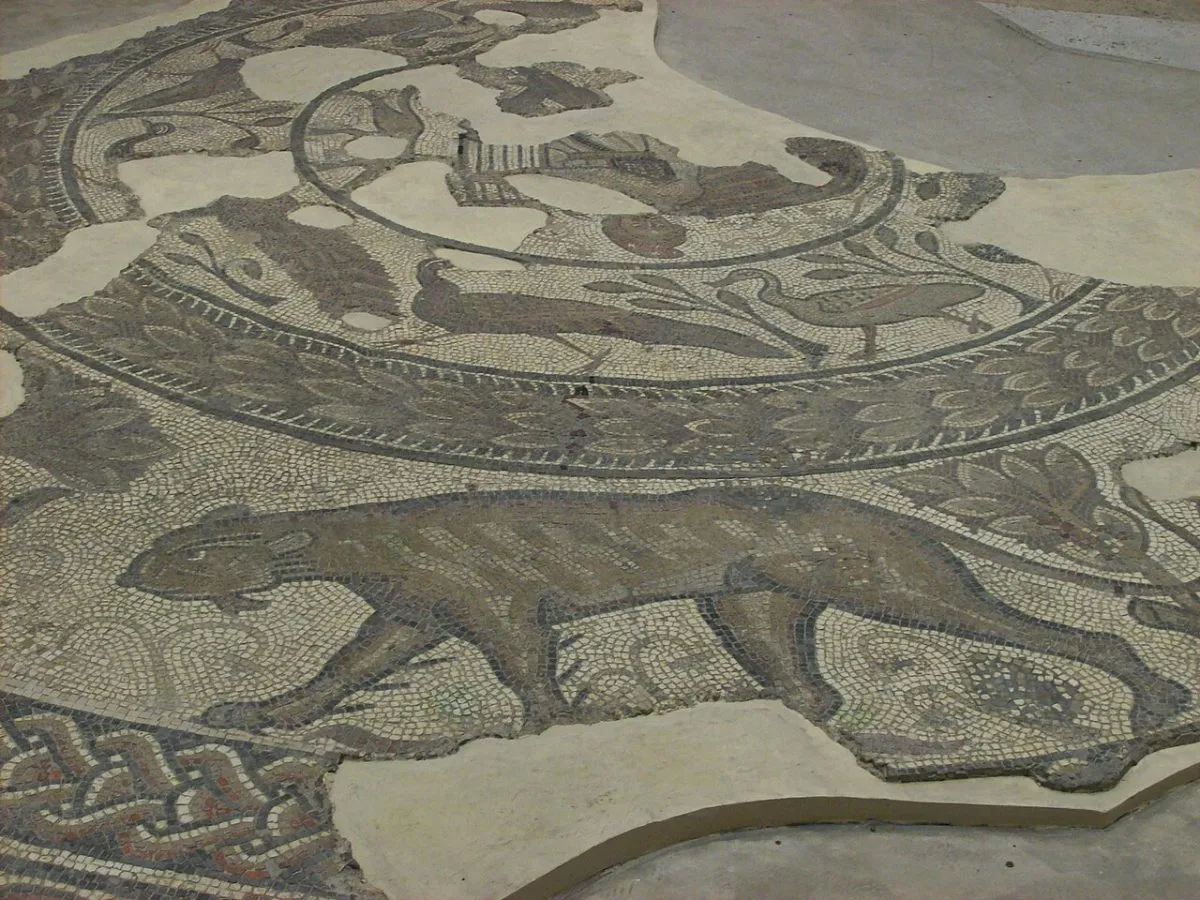 Corinium Museum