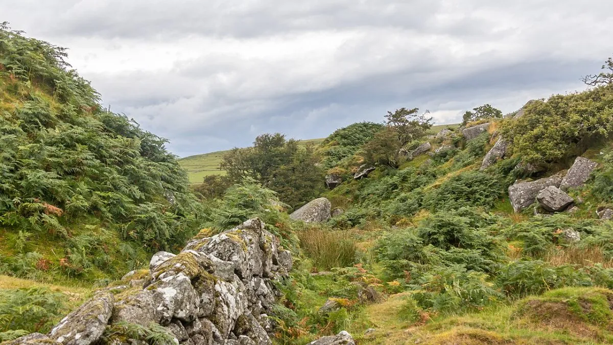 Bodmin Moor