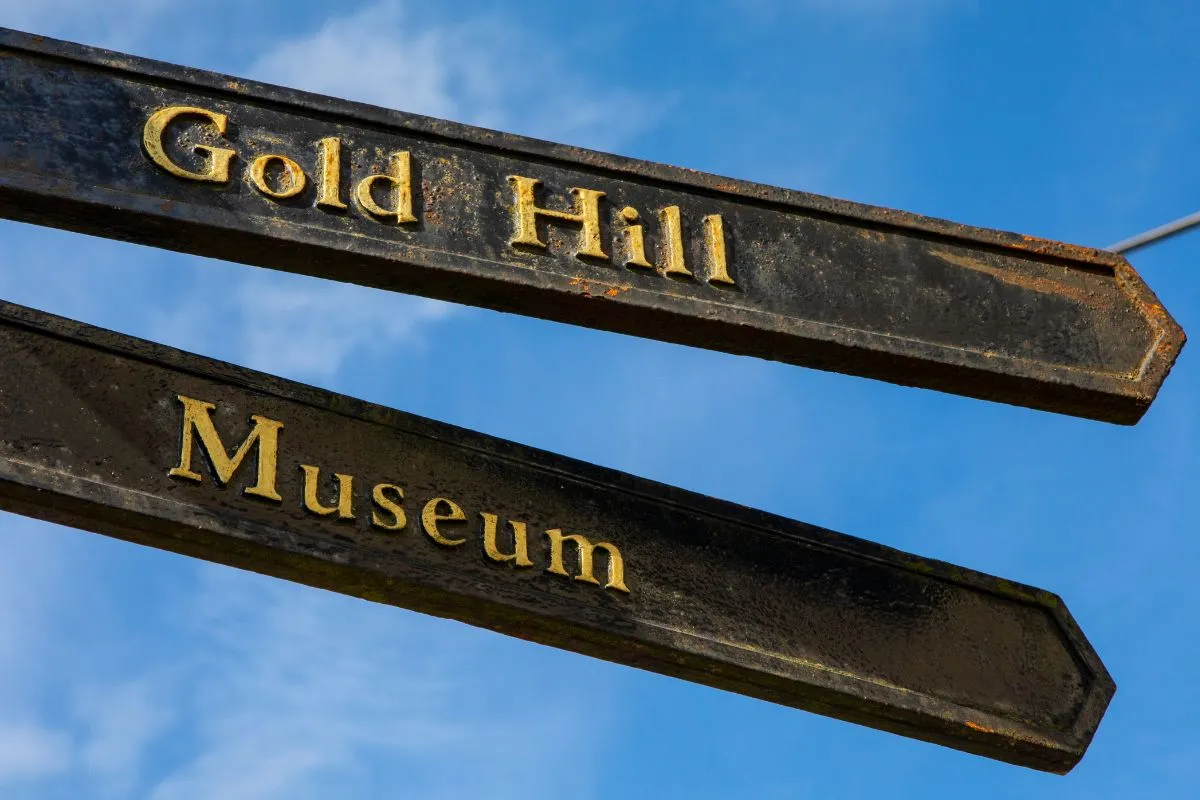 Dorset Museum & Art Gallery