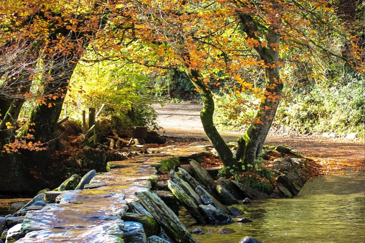 Tarr Steps