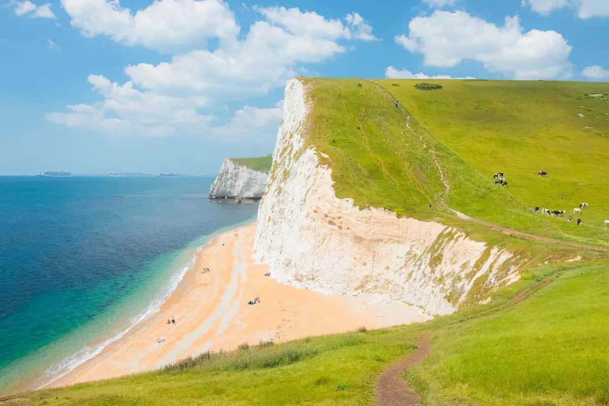Het strand bij Charmouth met de kliffen erachter en zoekende mensen op de kiezels, van een afstand gefotografeerd.