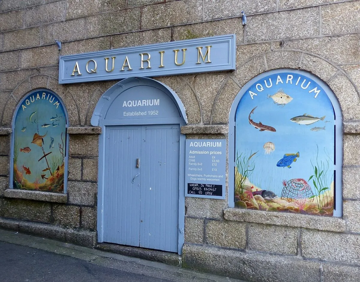 Fowey Aquarium