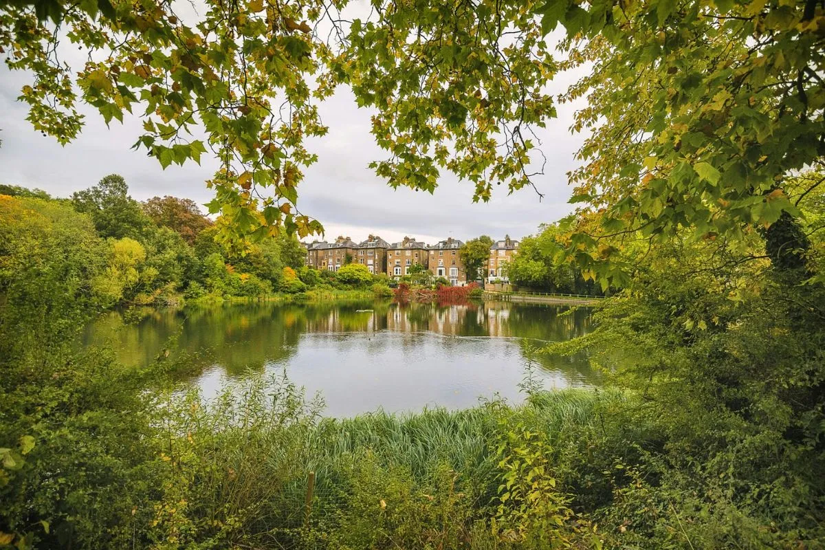 Hampstead Heath