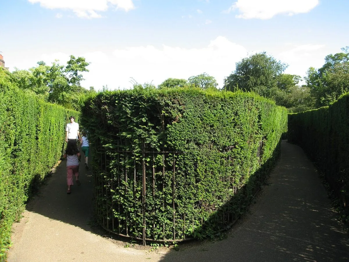 Het heggendoolhof tussen de hoge hagen, met een bezoeker klein in beeld voor de schaal.