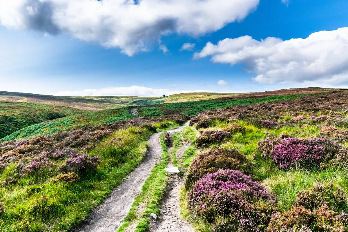 Haworth