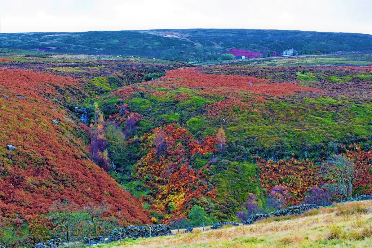 De wandeling naar de Brontë Waterfall en Top Withens