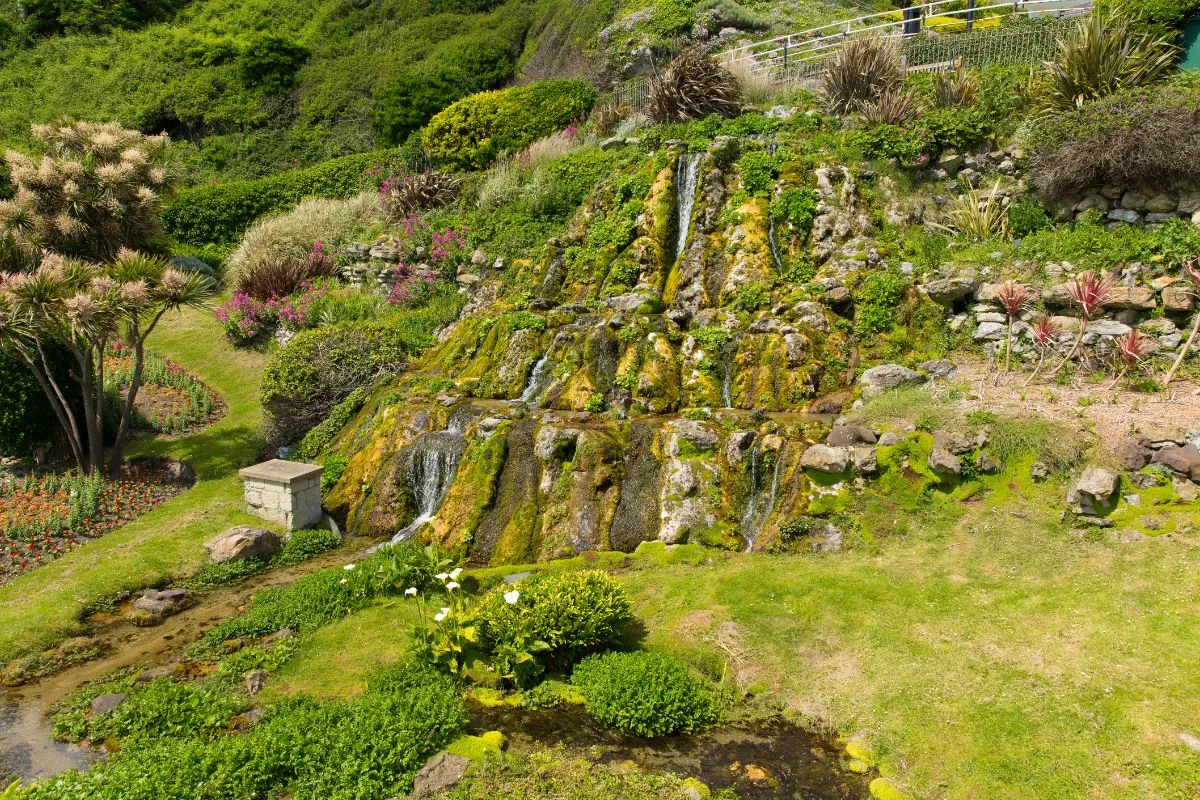 Ventnor Botanic Garden