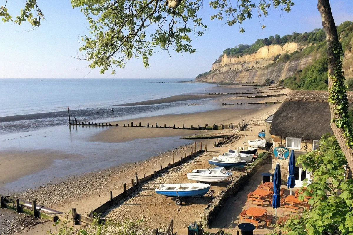 Shanklin Chine