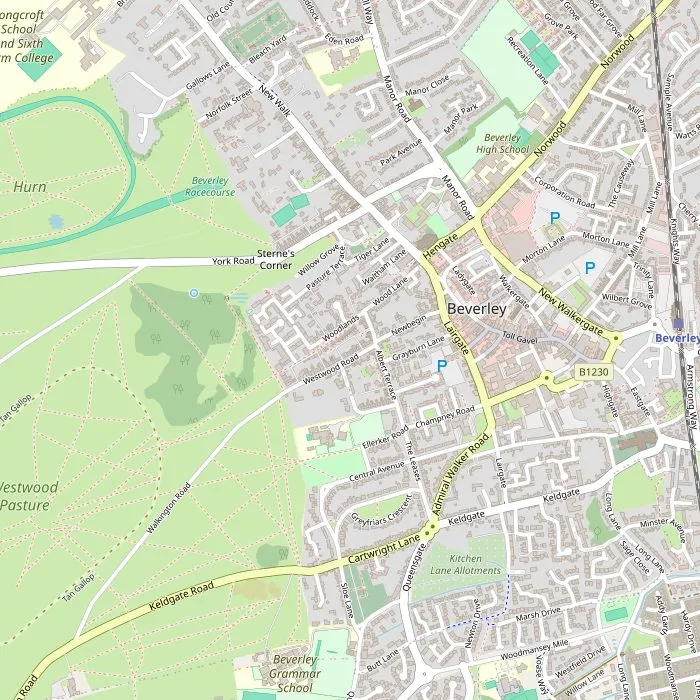 Kaart van Beverley met de Minster, St Mary's, de marktpleinen, North Bar en de Westwood