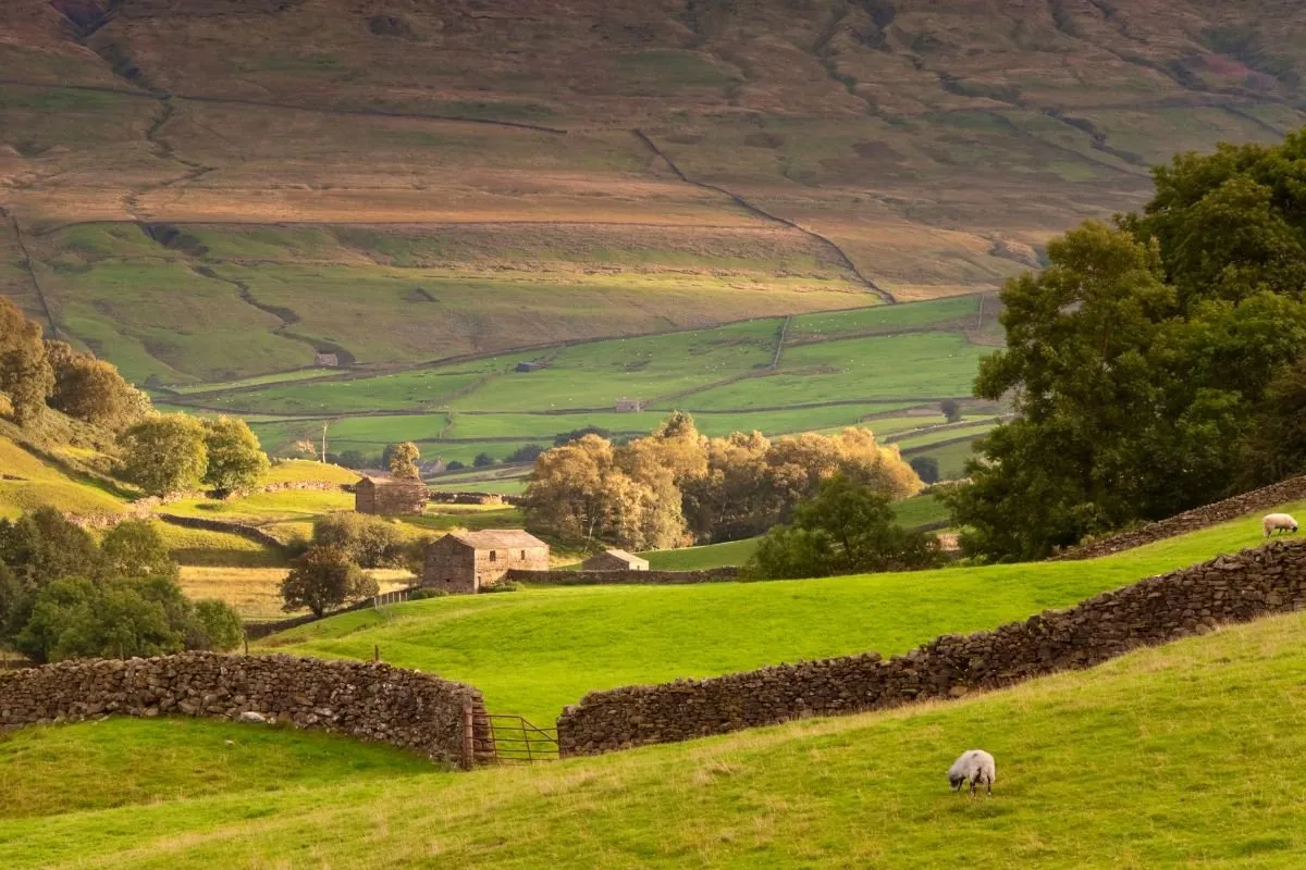 Een dal in de Yorkshire Dales met de droge stenen muurtjes die het land in vakken delen.