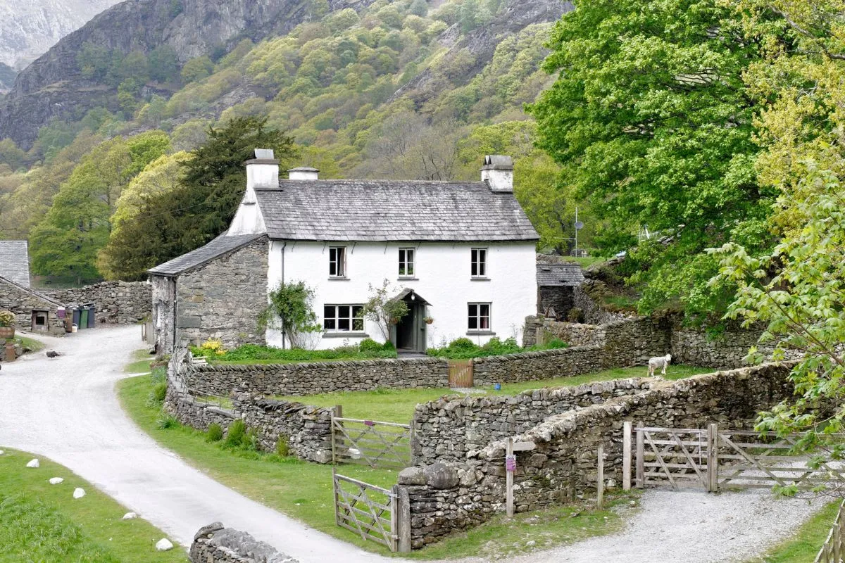 Hill Top