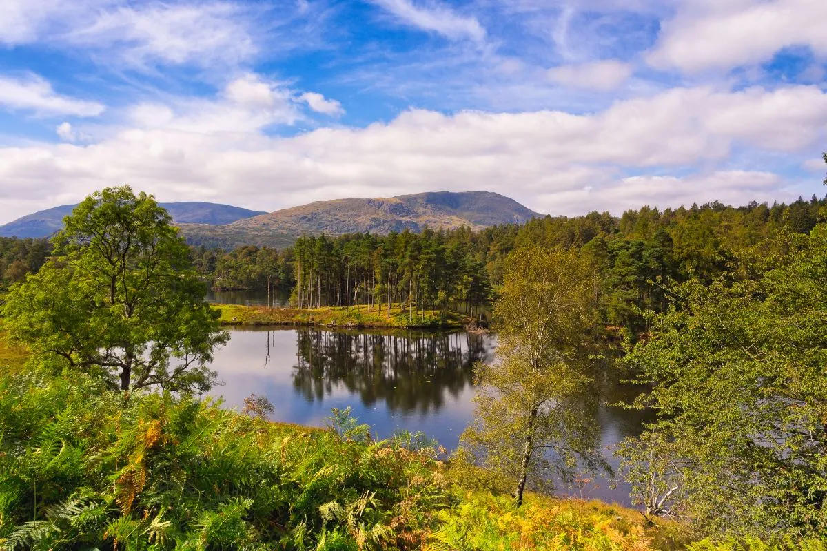 Tarn Hows