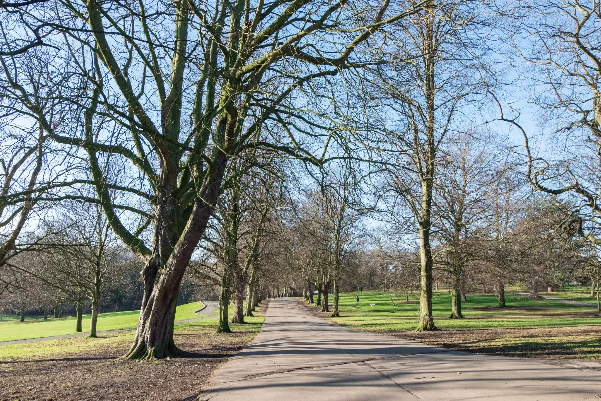 Roundhay Park
