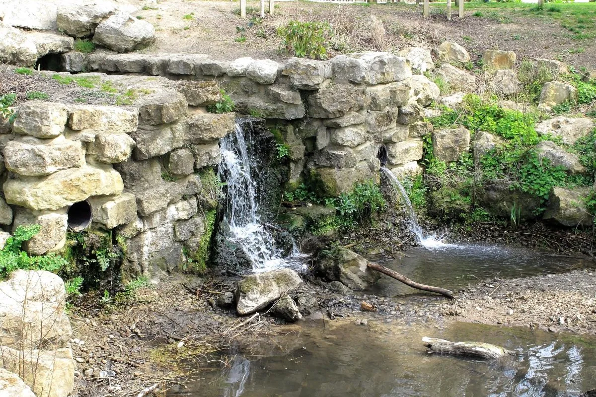 Mote Park