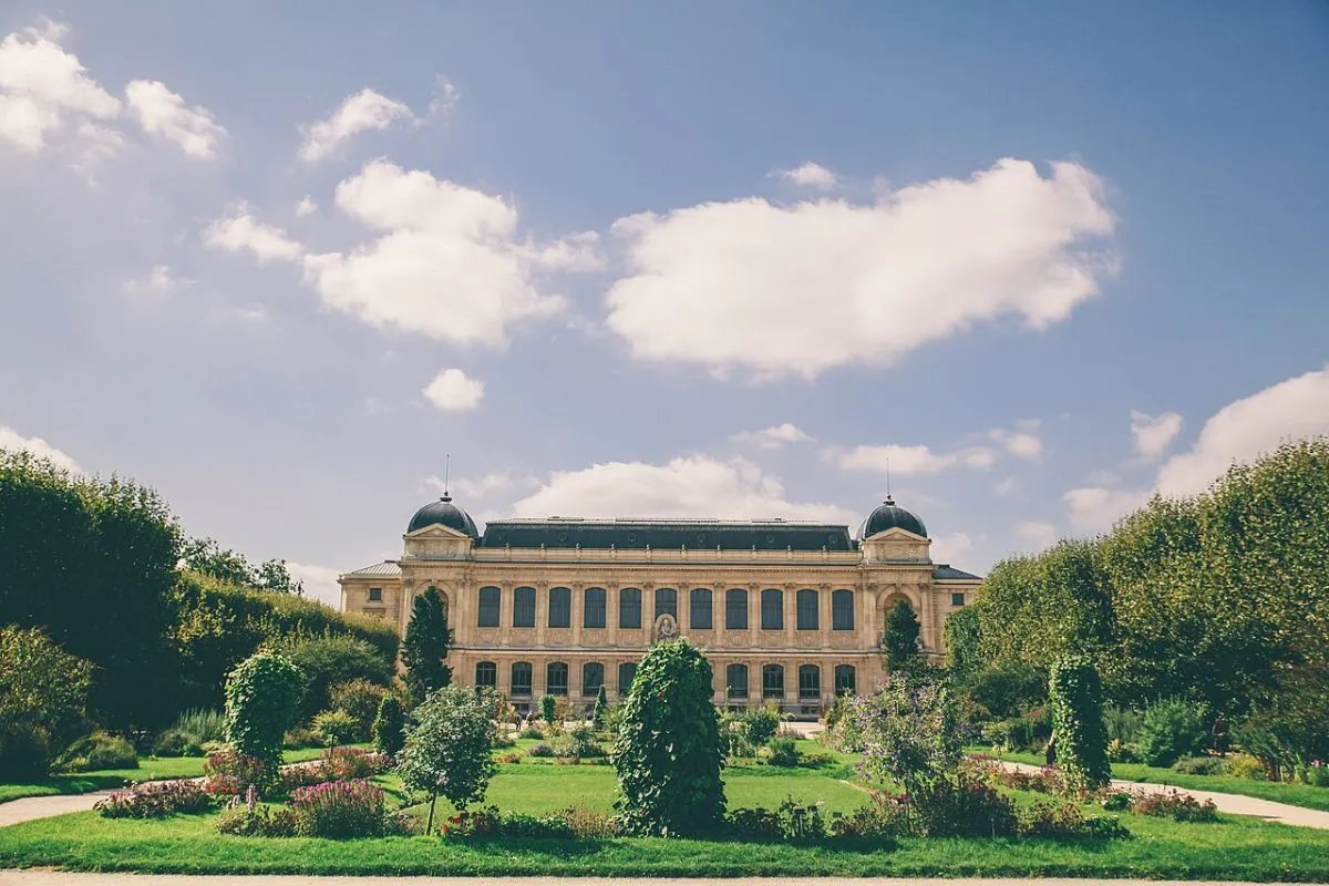 De bronzen Diplodocus Fern in de Evolution Garden, met de varens en de naaldbomen eromheen. Van opzij zodat de lengte uitkomt.