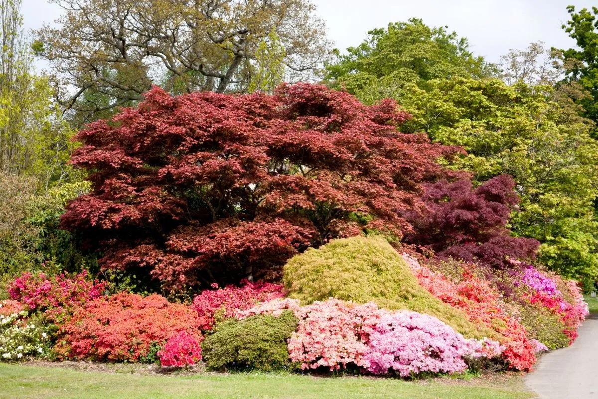 Exbury Gardens