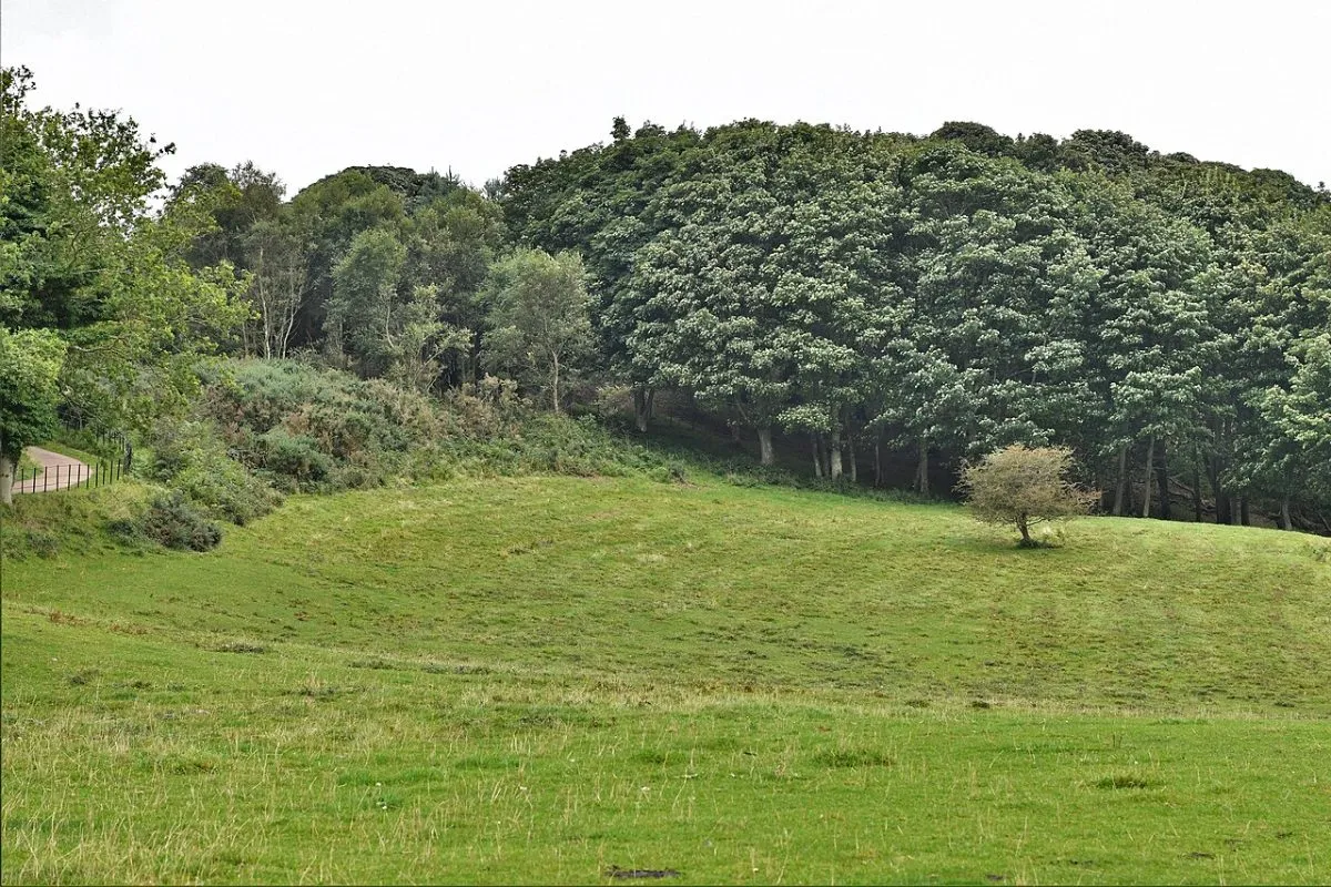 Sheringham Park