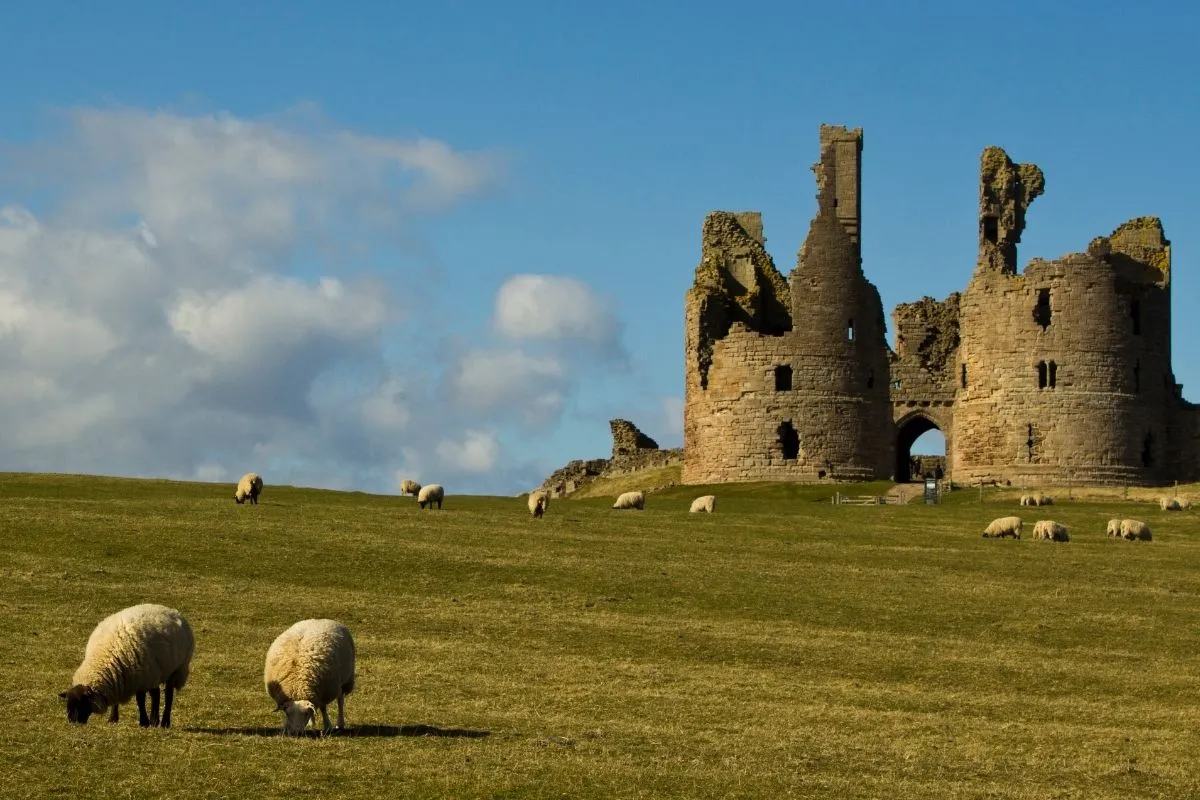 De rokerij van L. Robson & Sons in Craster, het stenen gebouw met de rook of de houten deuren, en eventueel de haven ernaast.