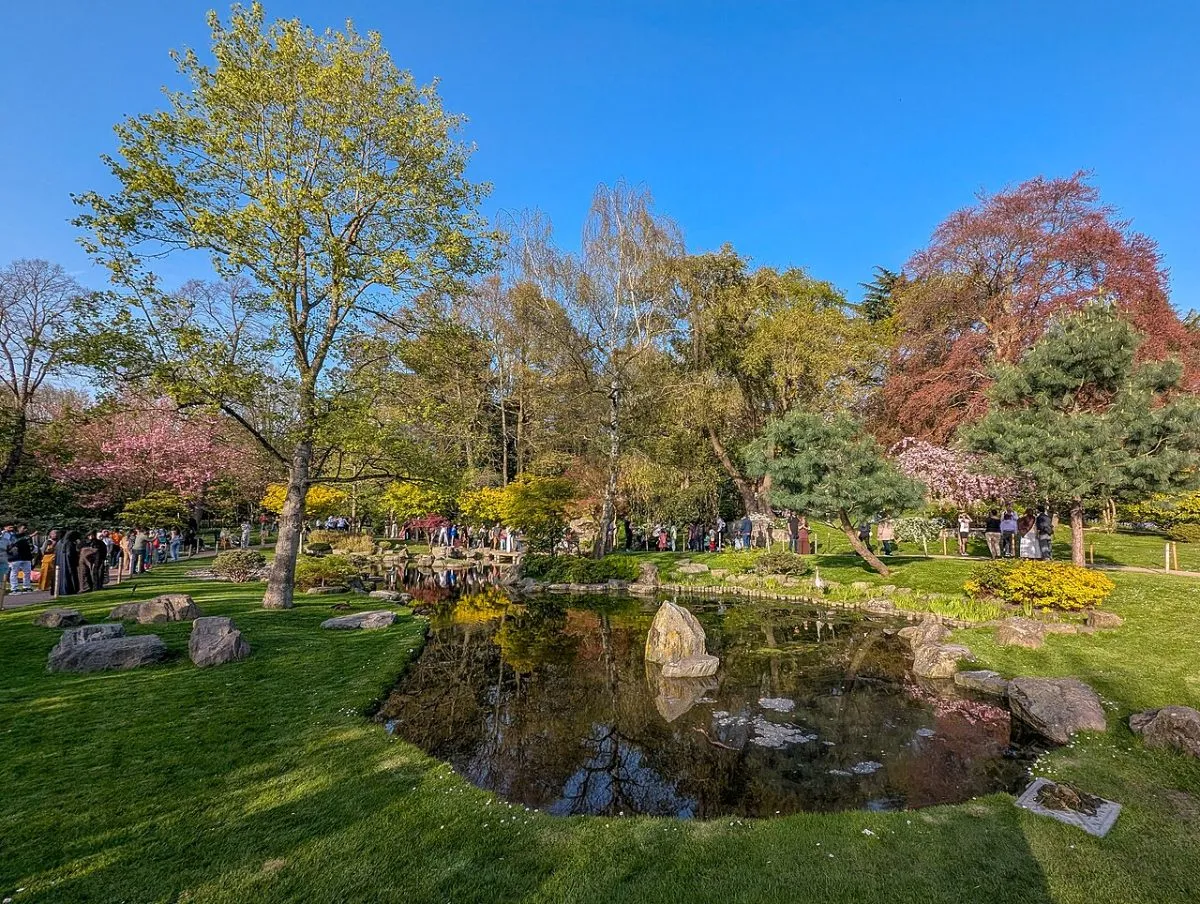 De Kyoto Garden met de waterval en de vijver, liefst met een pauw op een stenen lantaarn als die er zit.
