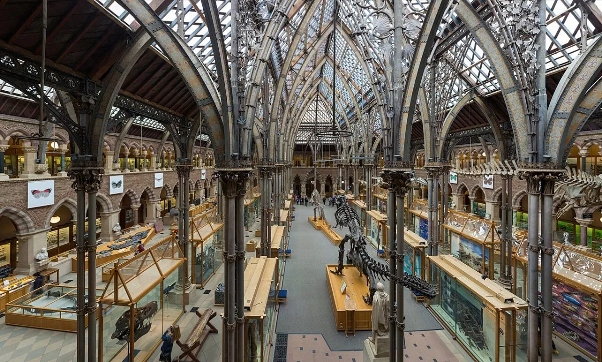 Museum of Natural History en Pitt Rivers