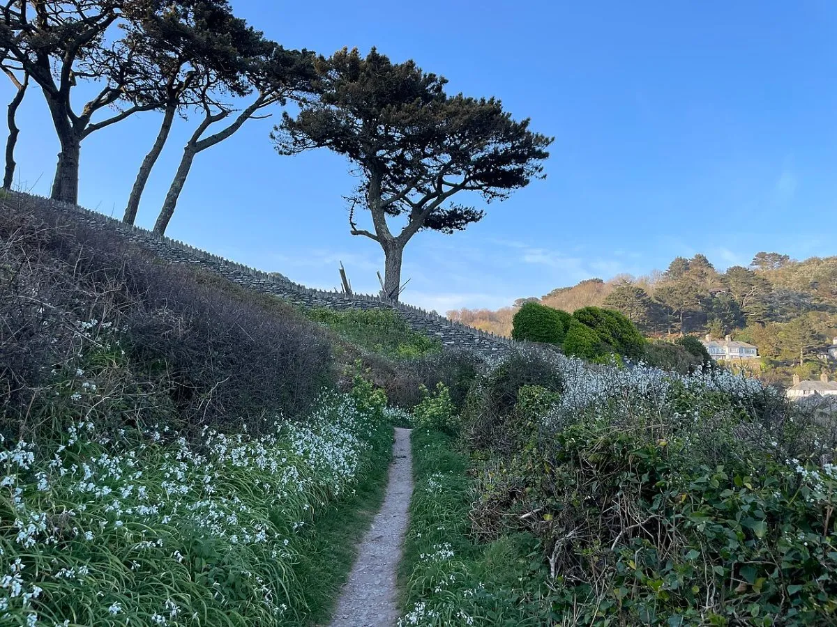 Chapel Cliff