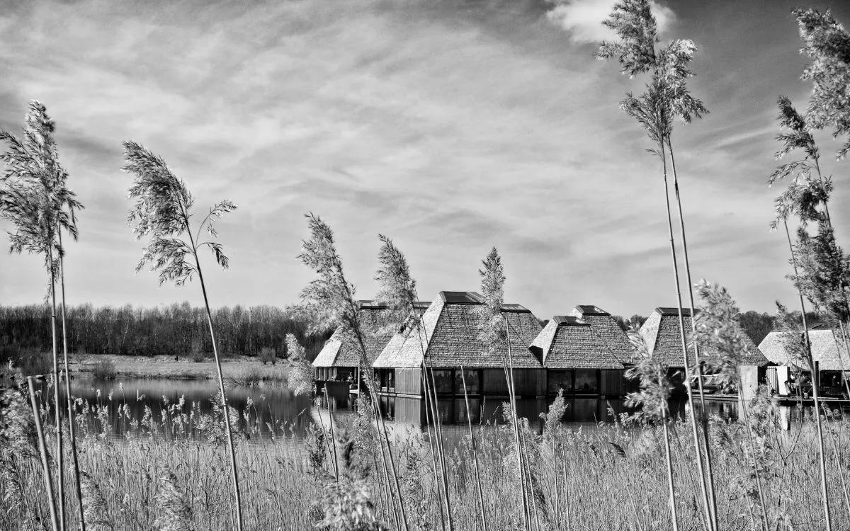 Brockholes