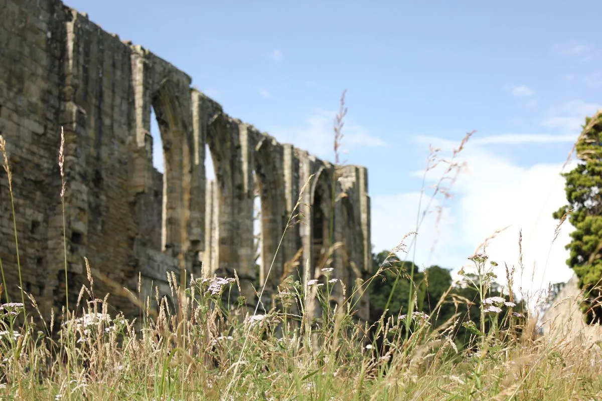 Easby Abbey