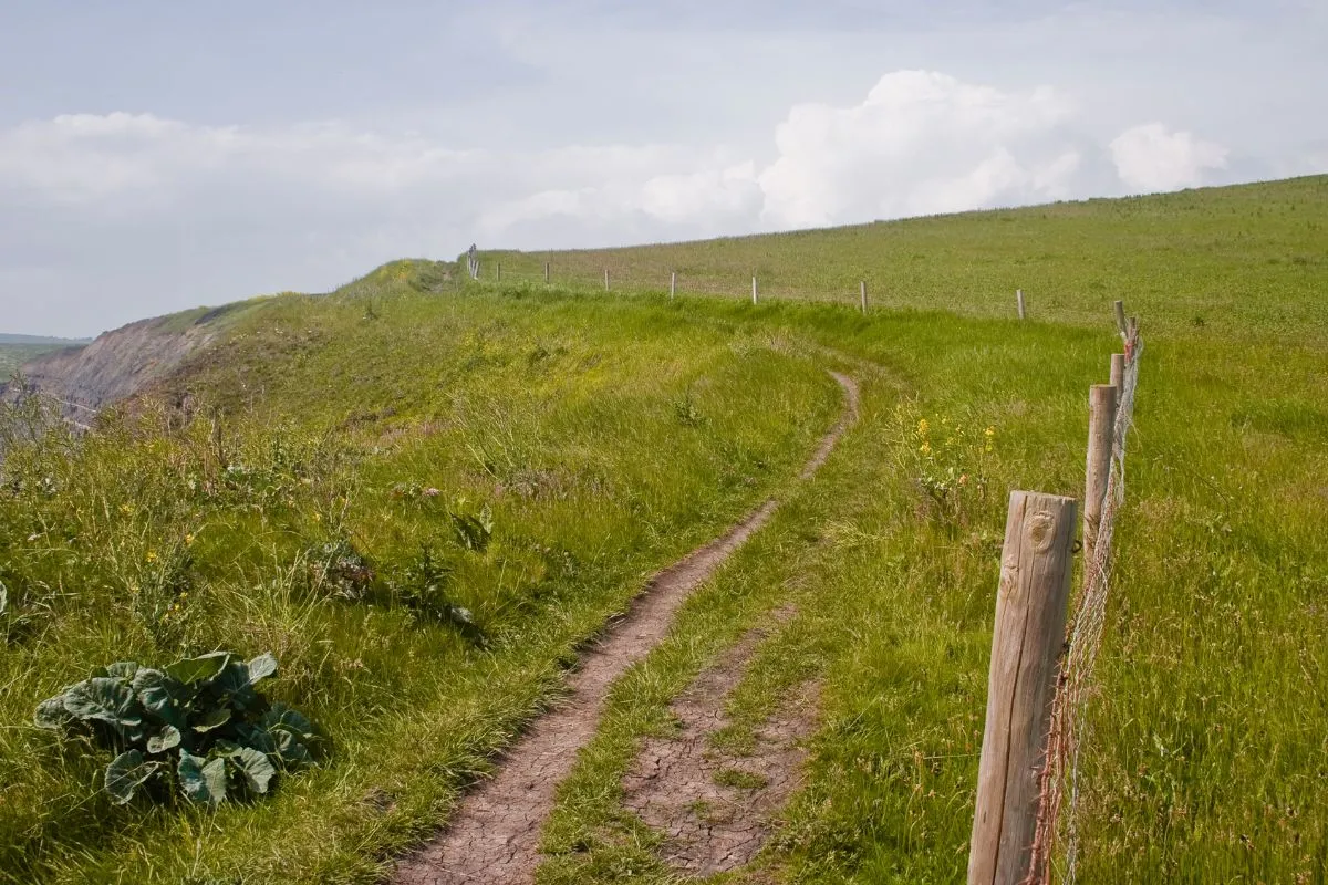 Een paal van de South West Coast Path met het eikeltje van de National Trails, met het kustpad en de zee erachter.