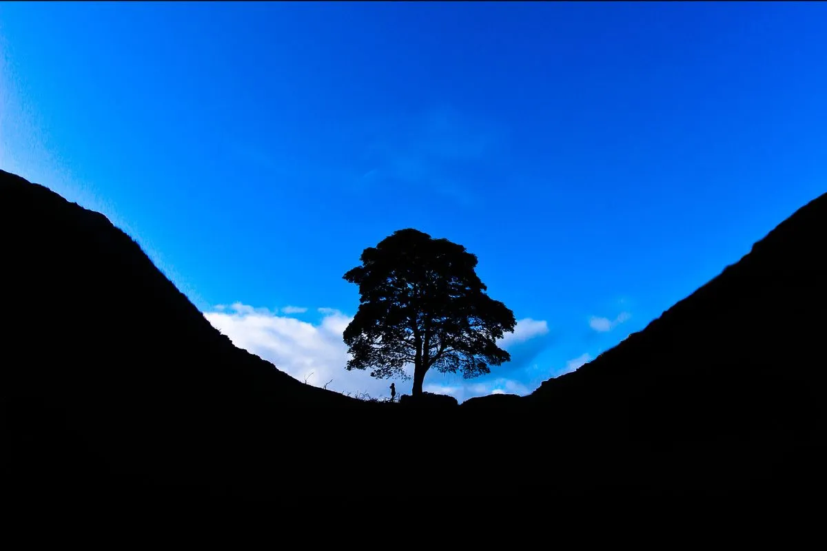De holte van Sycamore Gap tussen de twee heuvels, met de muur erdoorheen. Zonder mensen bij de stronk, want daar vraagt het National Trust afstand te houden.