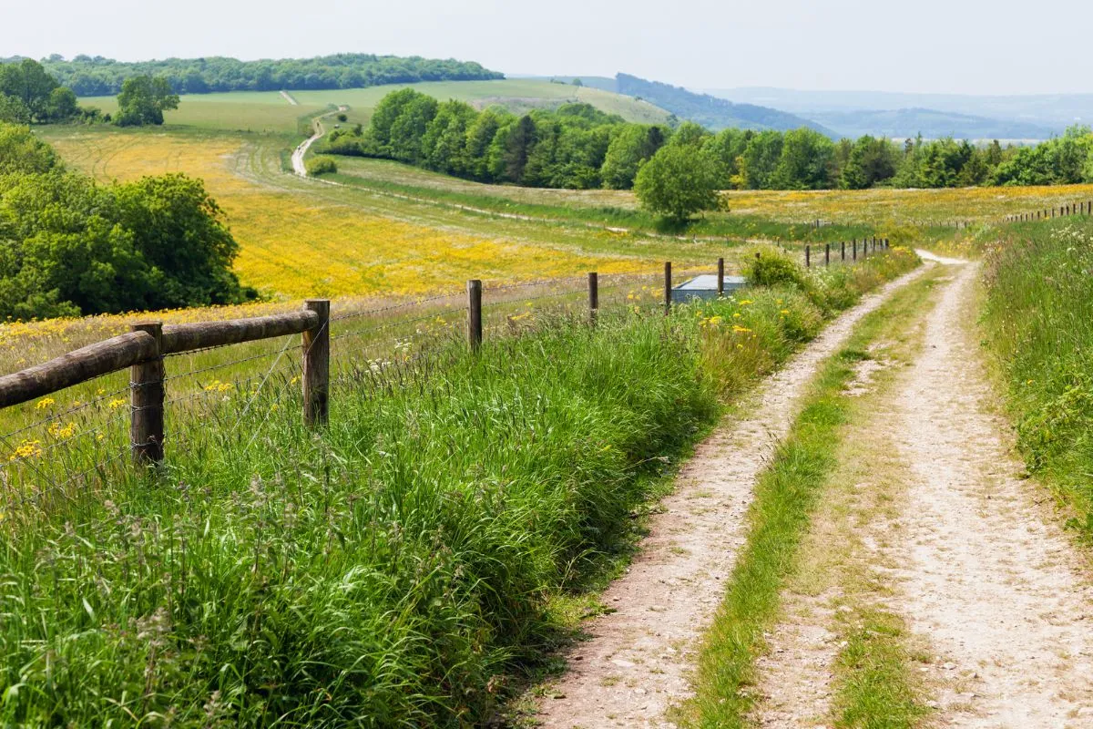 South Downs Way wandelen: 160 km en waar het water is
