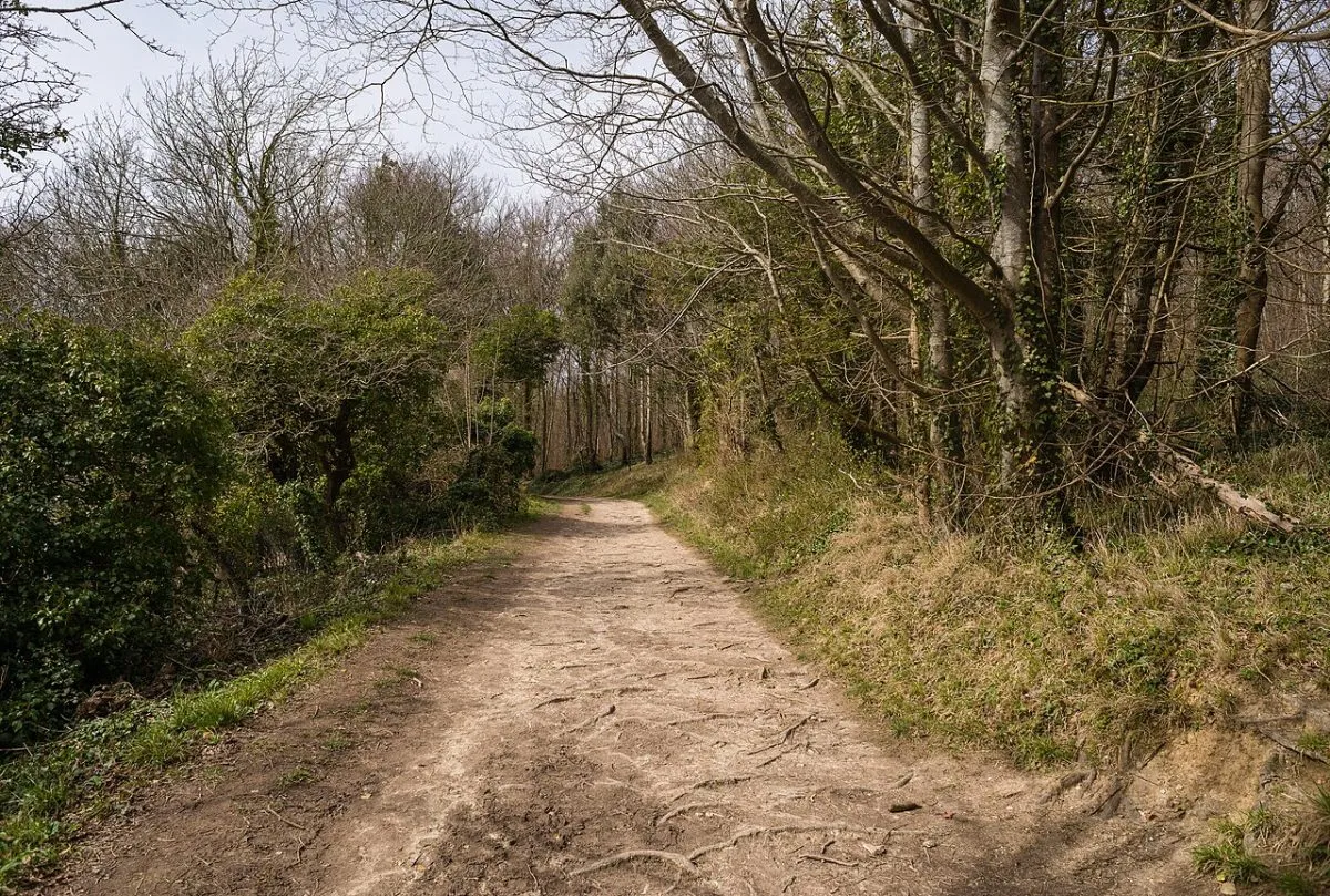 Een van de waterkranen langs de route, met de trog ernaast. Praktisch beeld: wandelaars zoeken hierop.