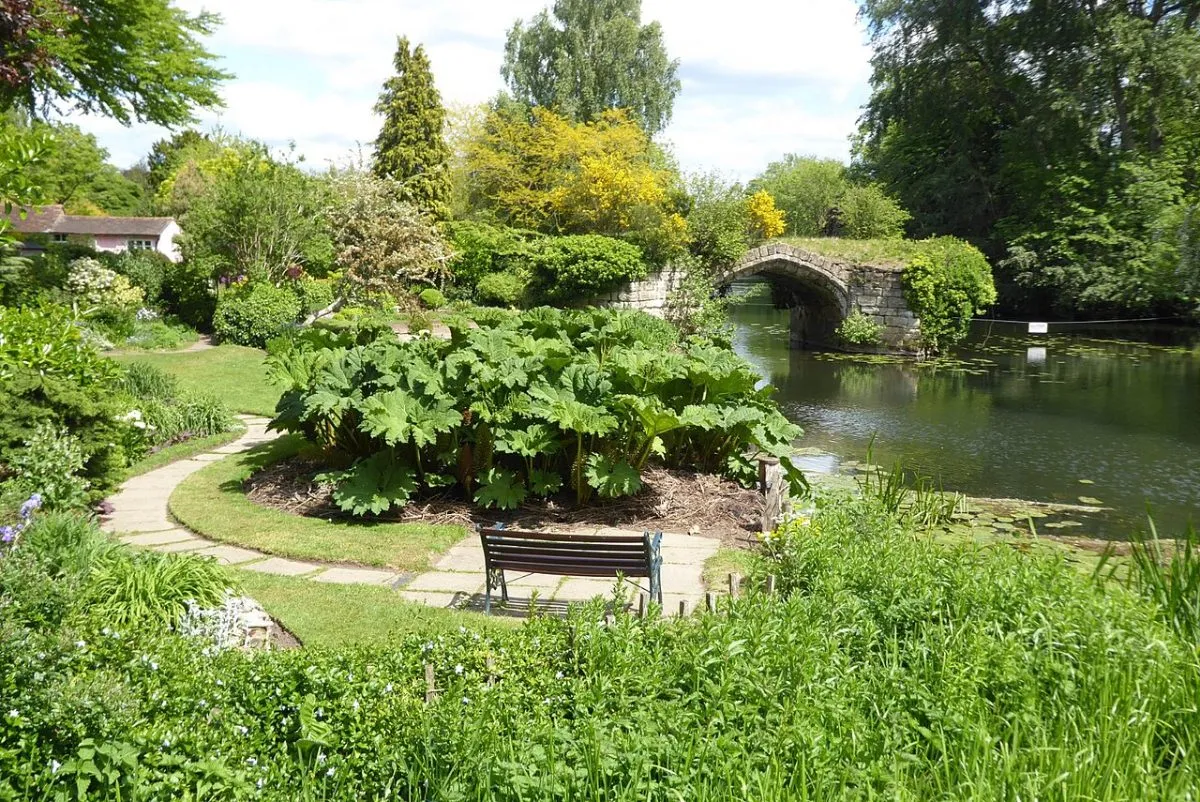 Mill Garden