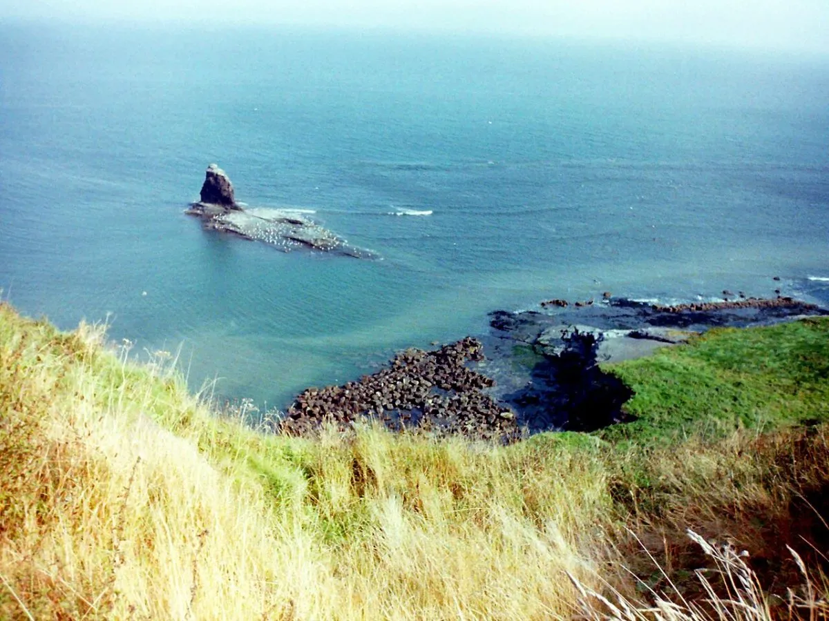 Saltwick Bay