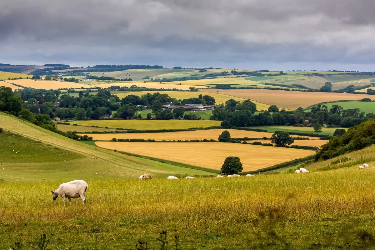 Wiltshire