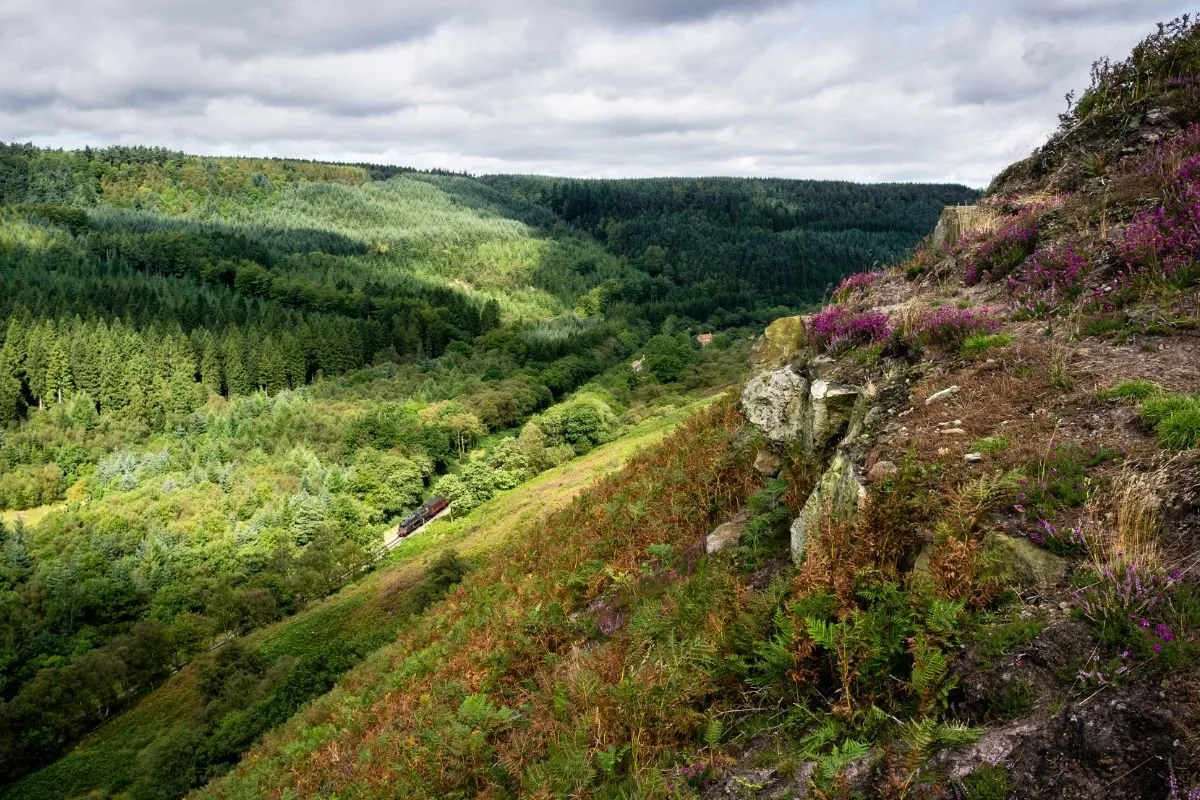 Het spoor dat door de open heide van de North York Moors loopt, met de heuvels erachter.