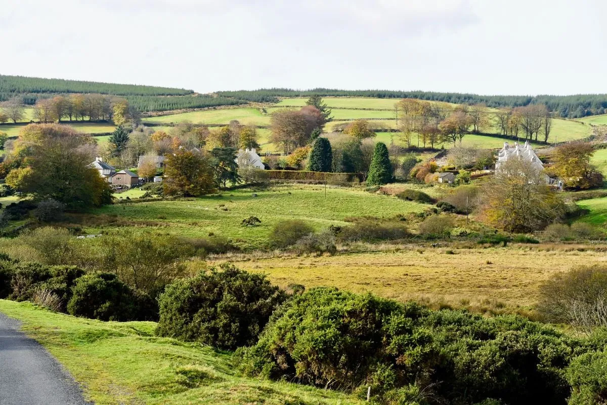 Een smalle weg over Dartmoor tussen de granieten rotsen, met wilde pony's langs de kant.