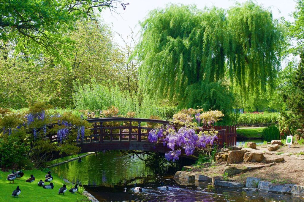 Impressie van Regent’s Park