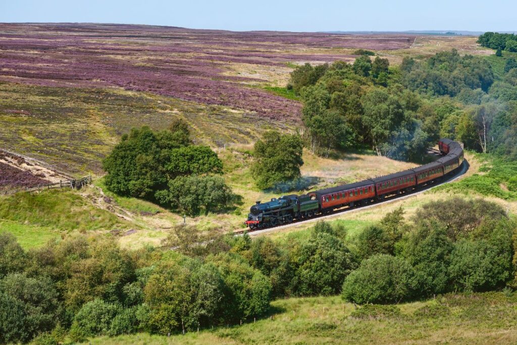 North Yorkshire Moors Railway train