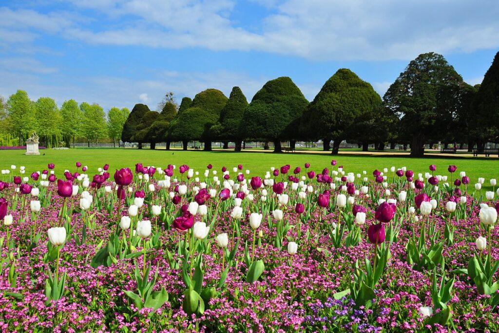 hampton court in bloei in de lente