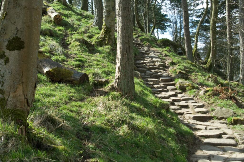 Omgeving van Hadrian's Wall Path