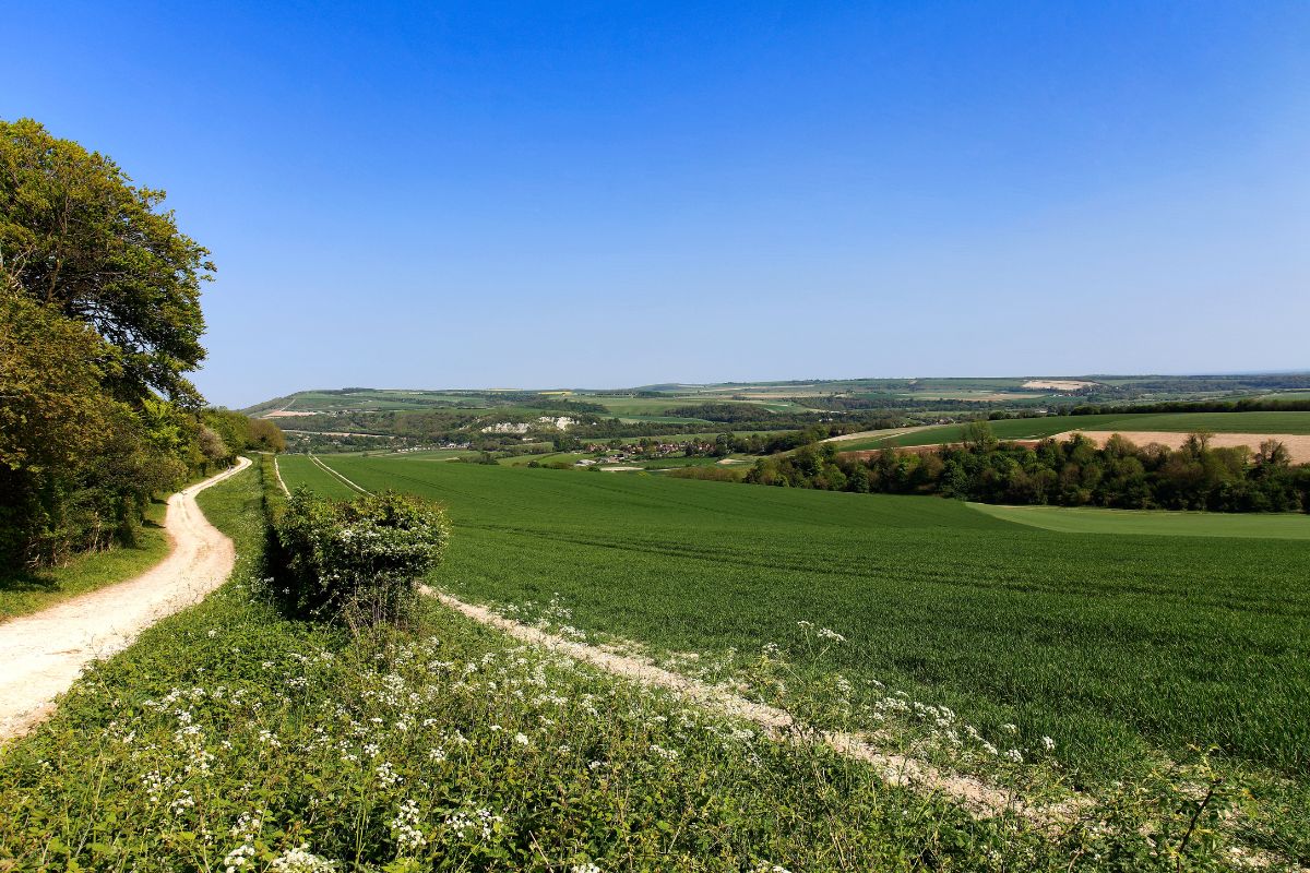 South Downs National Park