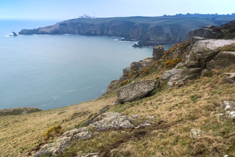 Lizard Point
